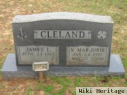 James L Cleland