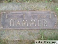 Alice J Sebranek Hammer