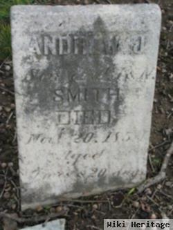 Andrew J Smith