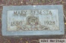 Mary Vajdak Sebesta