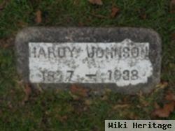 Hardy Johnson