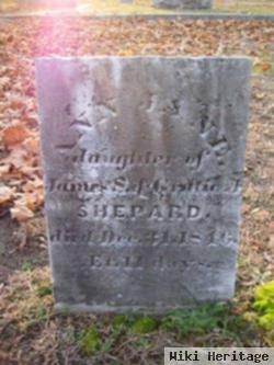 Ann Jane Shepard