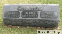 Mary Wallace David