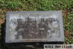 Adah Ewell Purcell