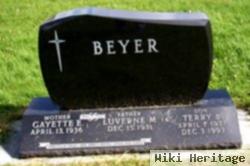 Terry A. Beyer