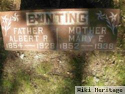 Albert R Bunting