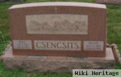 Frank Csencsits