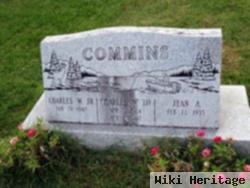 Charles William "billy Goat" Commins, Jr