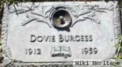 Dovie Story Burgess