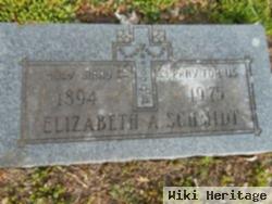 Elizabeth A Schmidt