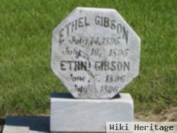 Ethin Gibson