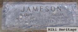 Harry H. Jameson