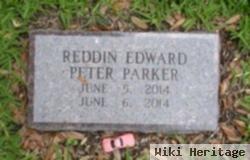 Reddin Edward Peter Parker