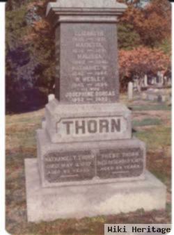 Nathaniel Taylor Thorn