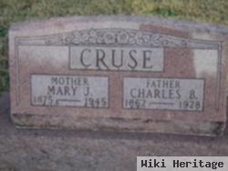 Mary J. Lowry Cruse