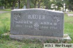 Andrew Bauer