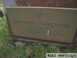 Mathew E Mattson