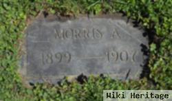 Morris A. Hansen