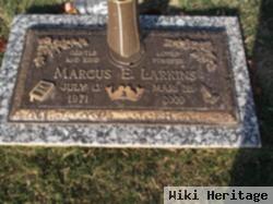 Marcus Larkins