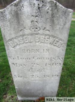 Basil Brewer