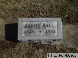 Harry Hall