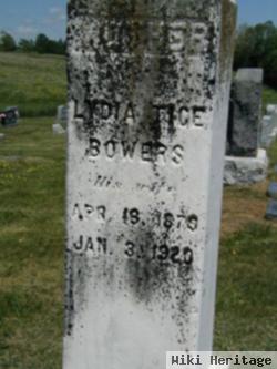 Lydia Tice Bowers Branner