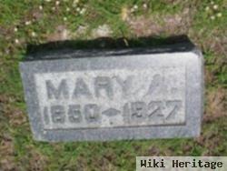 Mary A. Disch