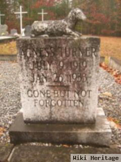 Agnes Turner