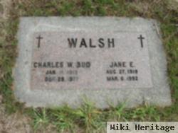 Jane E Walsh