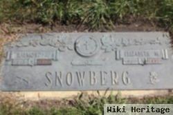 Raymond H. Snowberg