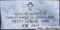 Vesty Louise Watkins