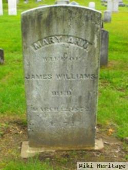 Mary Ann Hall Williams