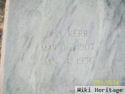 P. J. Kerr