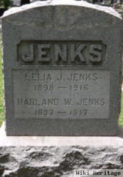 Lelia J Jenks