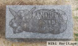 Andrew Estep