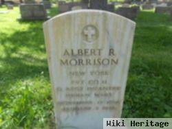 Albert R Morrison