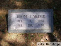 Junior L. Walker