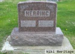 Nellie Soma Herring