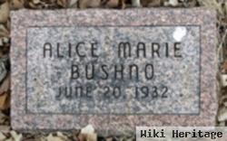 Alice Marie Bushno