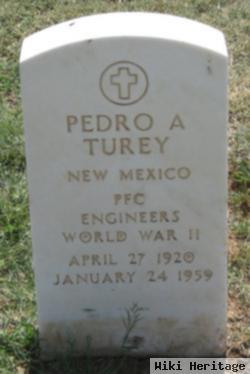 Pedro A. Turey