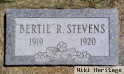 Bert R "bertie" Stevens