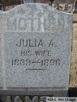 Julia Ann Mckinney Williams