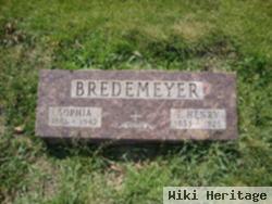 E. Henry Bredemeyer