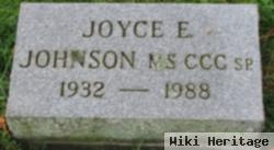 Joyce E Johnson