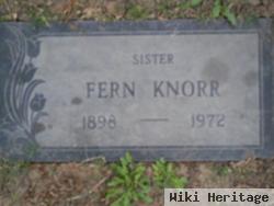 Fern F Knorr