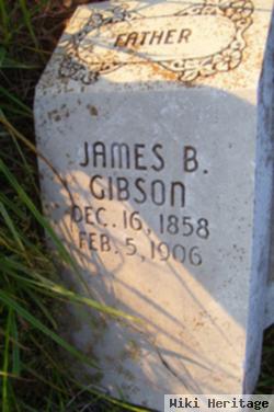 James B. Gibson