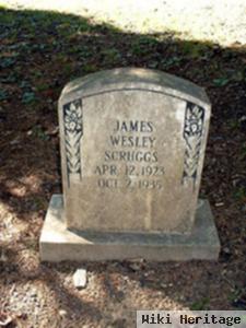 James Wesley Scruggs