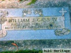 William J Gass, Iv