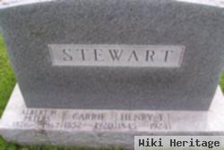 Henry T Stewart