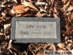 Gay Cook